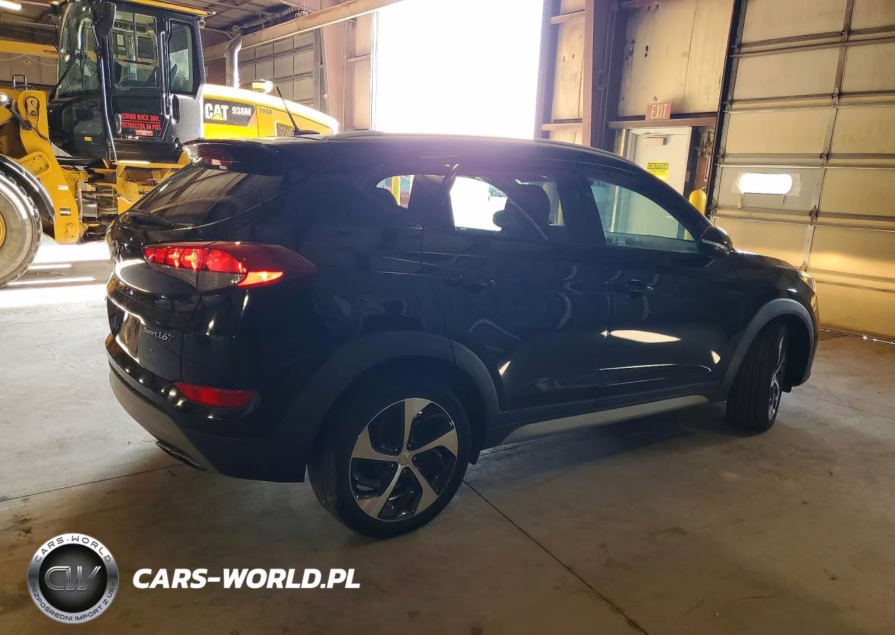 2017 Hyundai Tucson Sport VIN:KM8J33A20HU549212 - 3