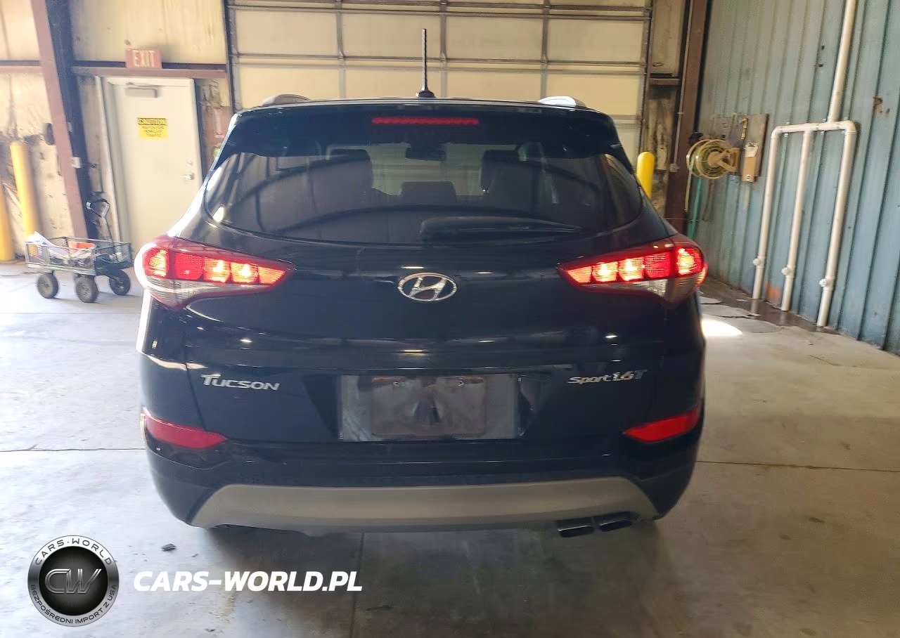 2017 Hyundai Tucson Sport VIN:KM8J33A20HU549212 - 6