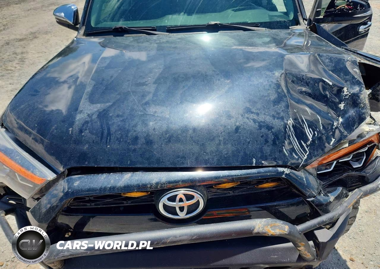 2017 Toyota 4Runner Sr5 Premium VIN:JTEBU5JR6H5429919 - 12