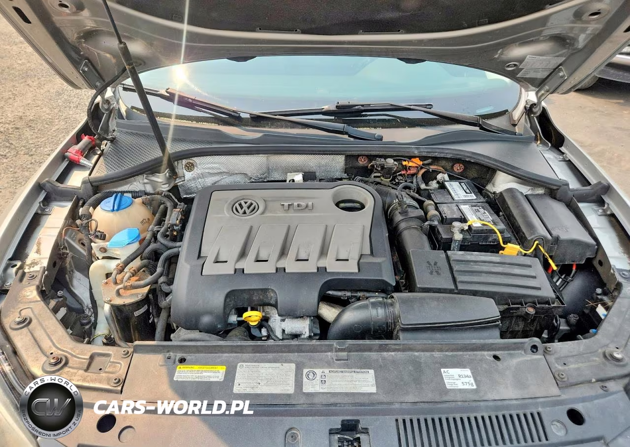 2014 Volkswagen Passat Sel VIN:1VWCN7A3XEC046695 - 11