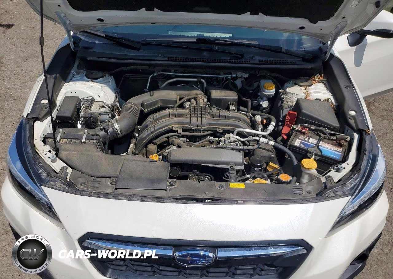 2019 Subaru Crosstrek Limited VIN:JF2GTANC5K8301125 - 11