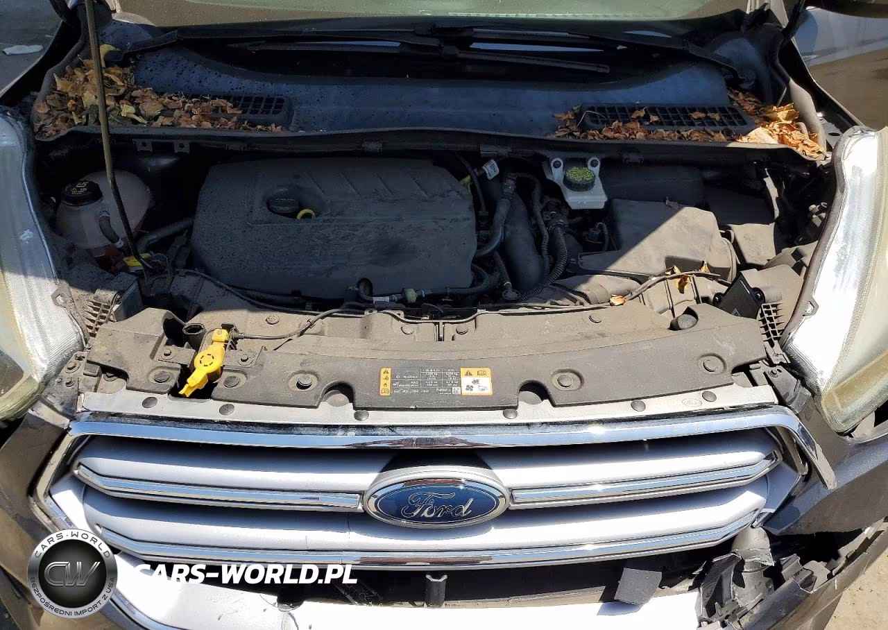 2017 Ford Escape Se VIN:1FMCU0GD5HUC88043 - 12