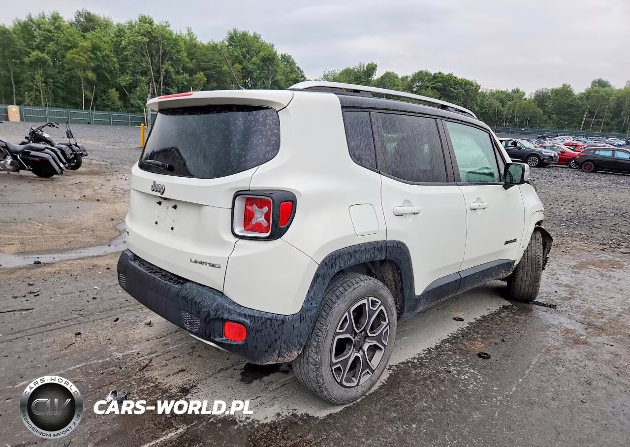 2015 Jeep Renegade Limited VIN:ZACCJBDT0FPB75874 - 3