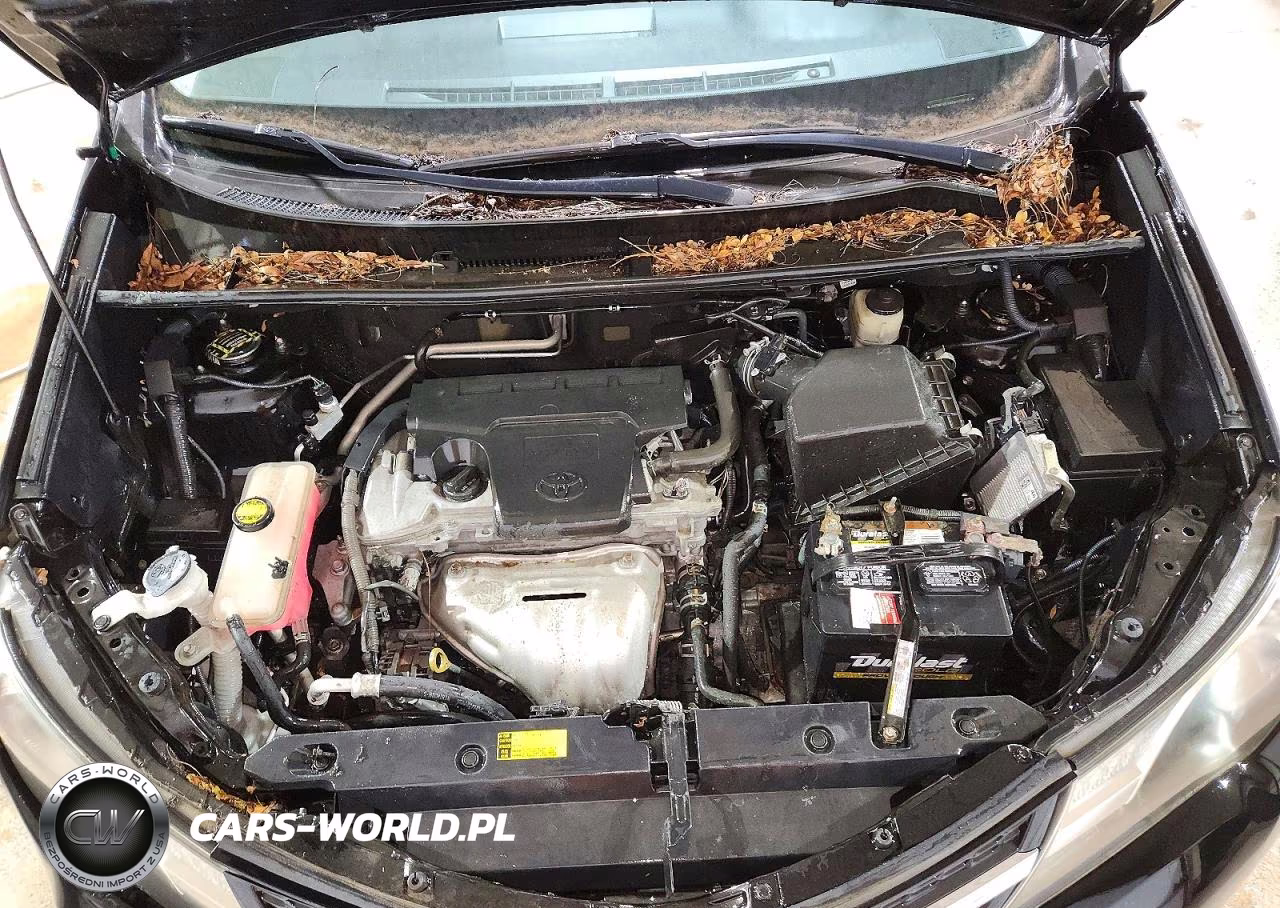 2015 Toyota Rav4 Xle VIN:2T3WFREV4FW175518 - 12