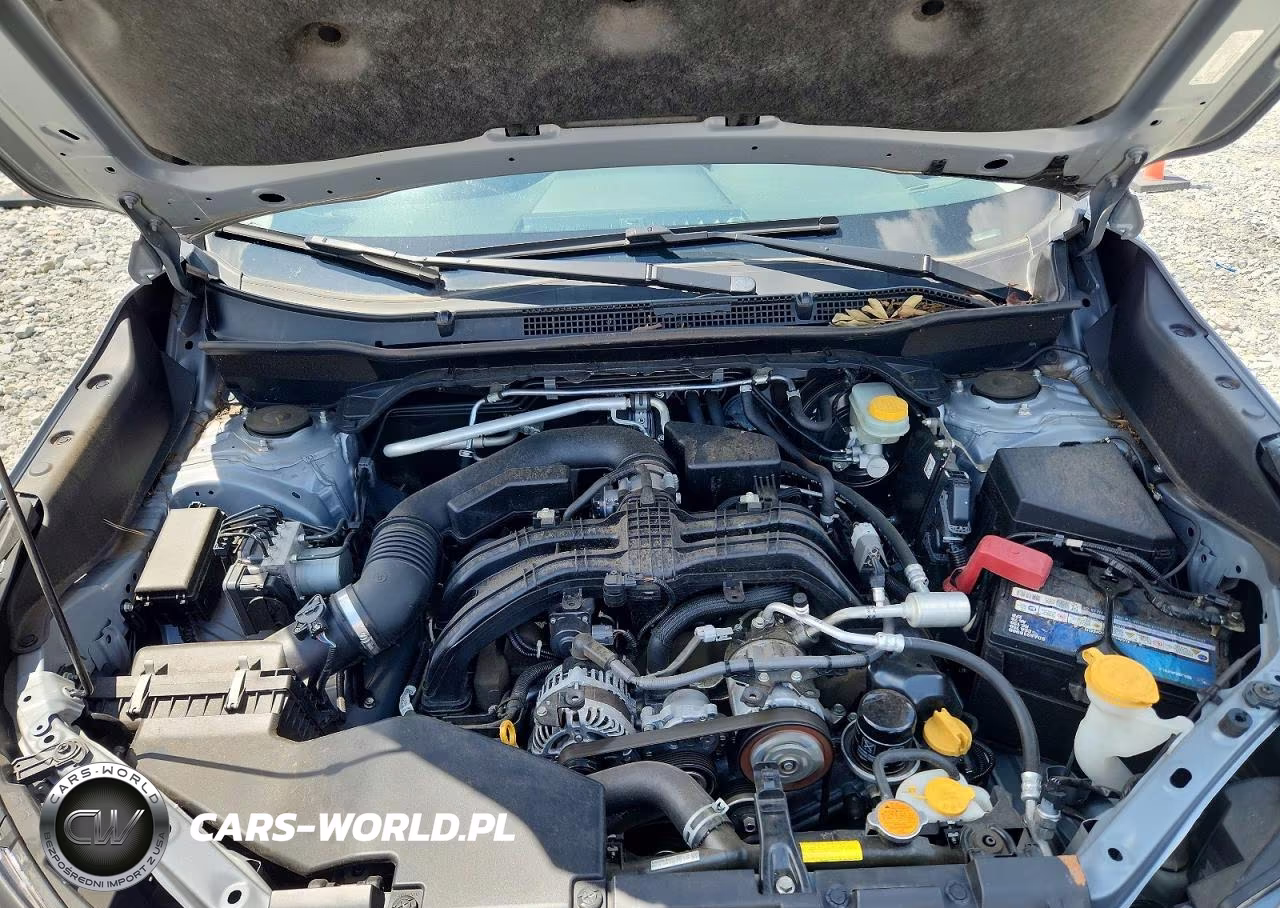 2019 Subaru Forester Premium VIN:JF2SKAEC5KH525041 - 12