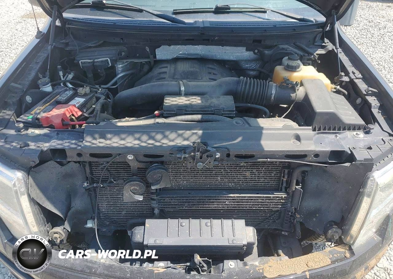 2013 Ford F150 Supercrew VIN:1FTFW1ET1DFA33321 - 11
