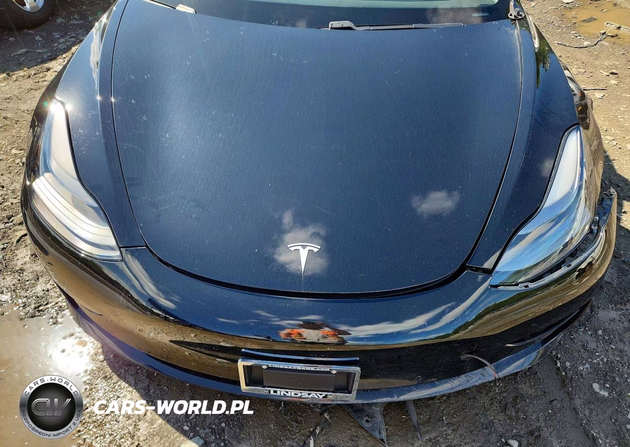 2021 Tesla Model 3 VIN:5YJ3E1EA0MF976390 - 11