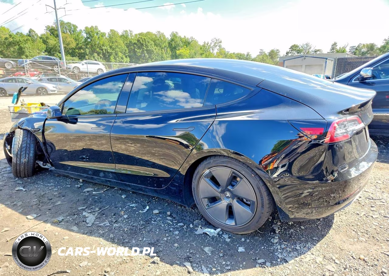 2021 Tesla Model 3 VIN:5YJ3E1EA0MF976390 - 2