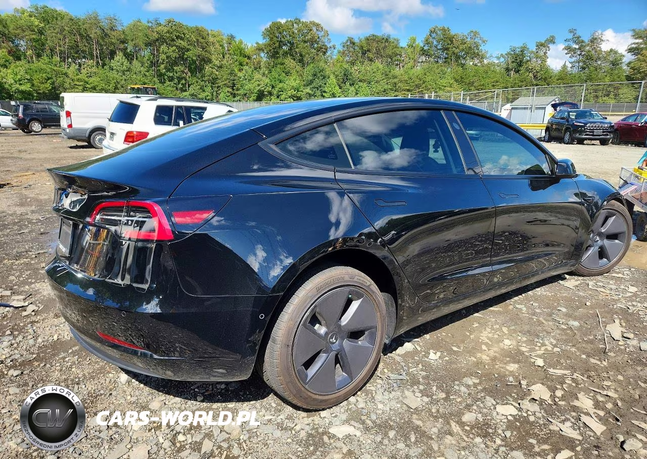 2021 Tesla Model 3 VIN:5YJ3E1EA0MF976390 - 3