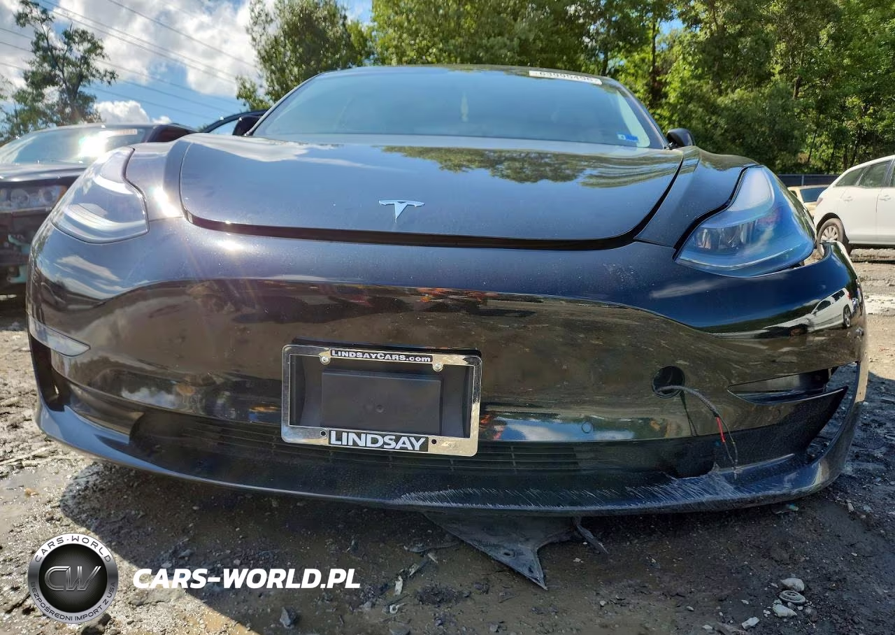 2021 Tesla Model 3 VIN:5YJ3E1EA0MF976390 - 5