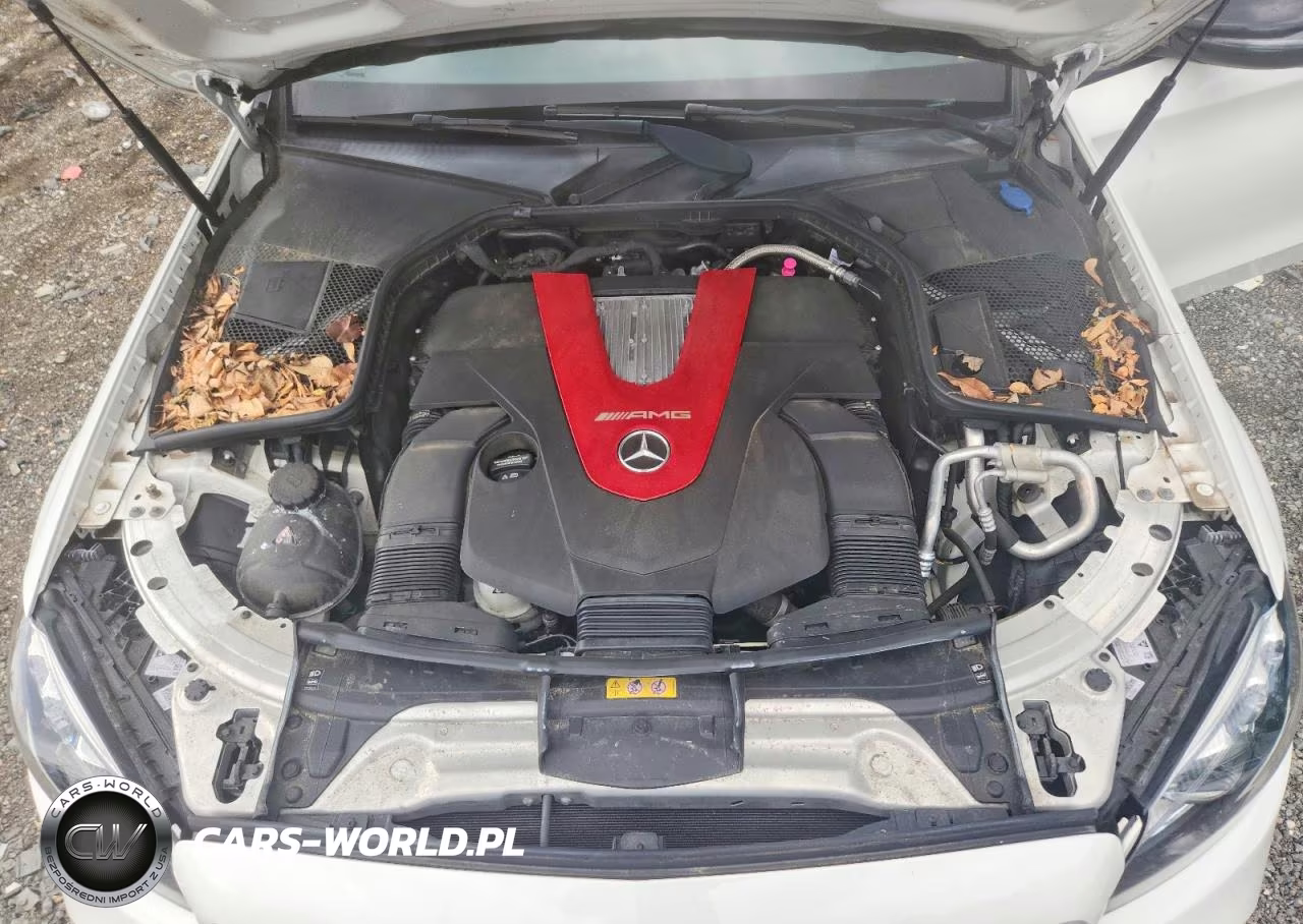 2019 Mercedes-Benz C 43 Amg VIN:55SWF6EB3KU309132 - 11