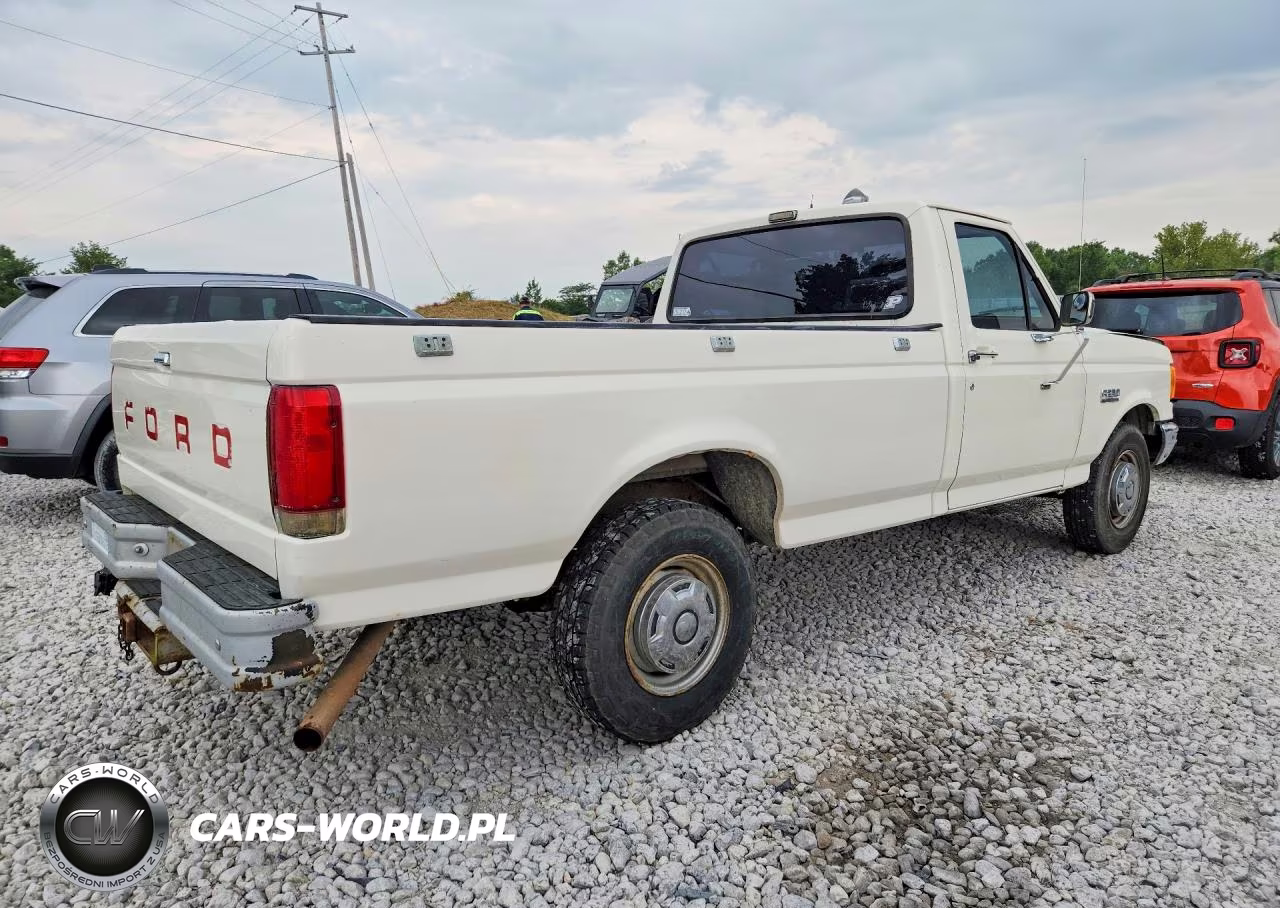 1989 Ford F250 VIN:1FTEF25H7KPB34254 - 3