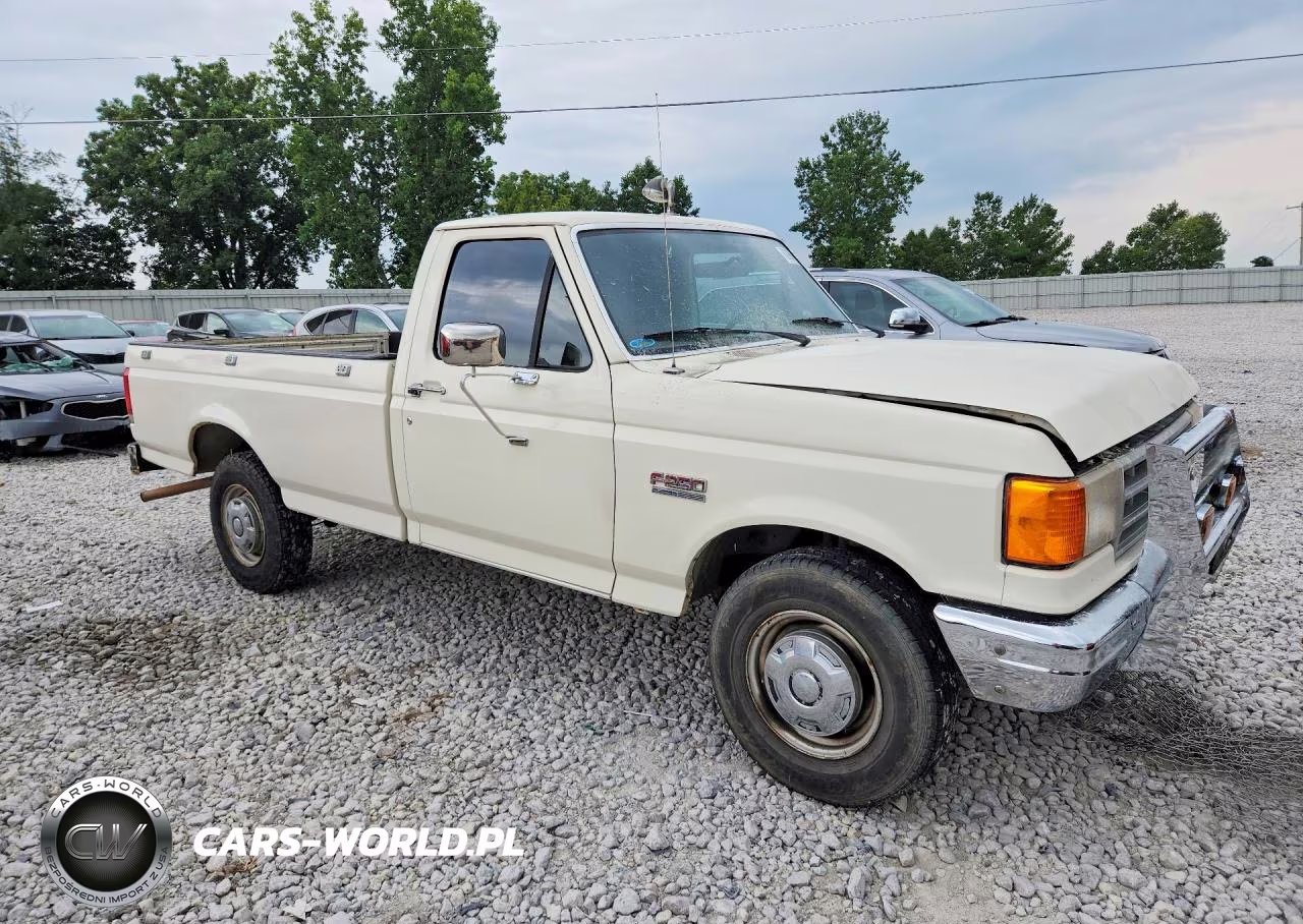 1989 Ford F250 VIN:1FTEF25H7KPB34254 - 4