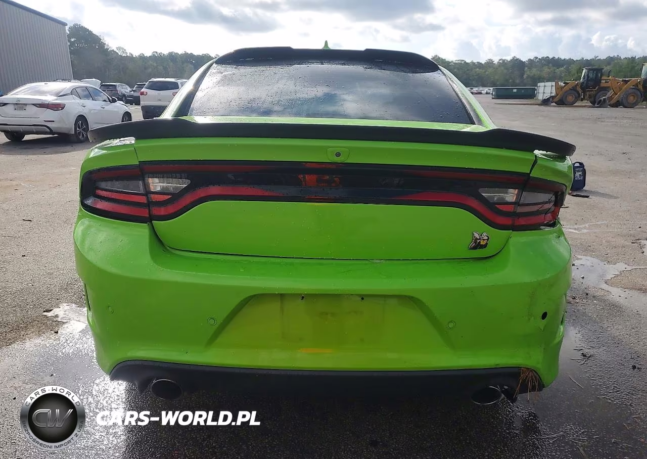 2019 Dodge Charger Scat Pack VIN:2C3CDXGJ7KH718317 - 6