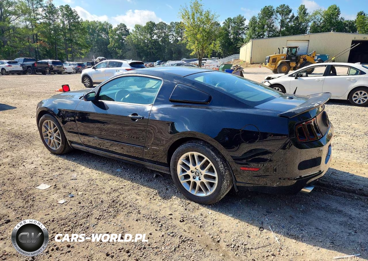 2014 Ford Mustang VIN:1ZVBP8AM7E5214172 - 2