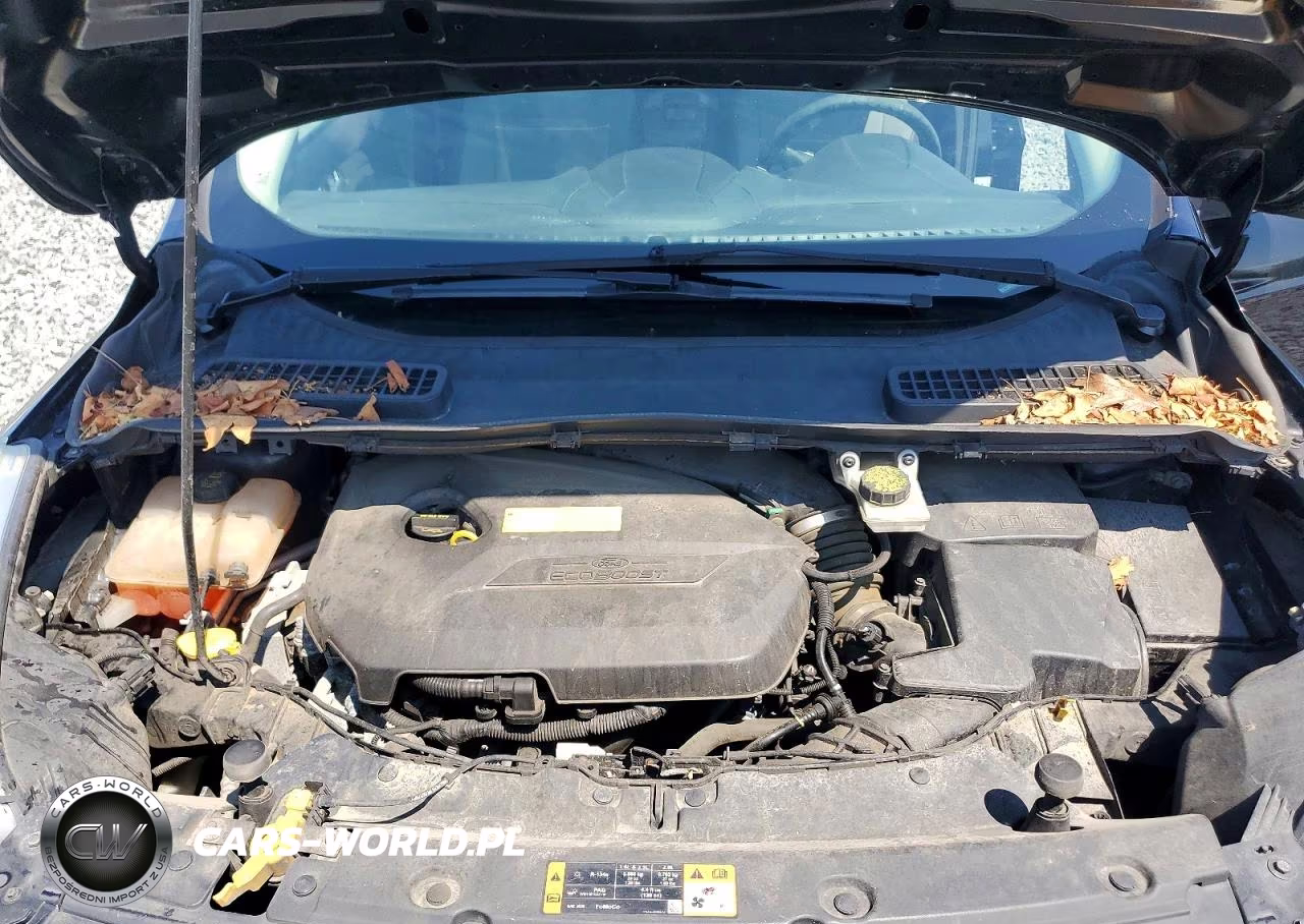 2015 Ford Escape Se VIN:1FMCU0GX0FUC59735 - 12