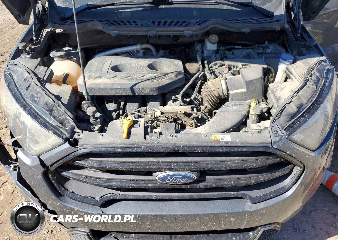 2019 Ford Ecosport Ses VIN:MAJ6S3JL2KC253164 - 12