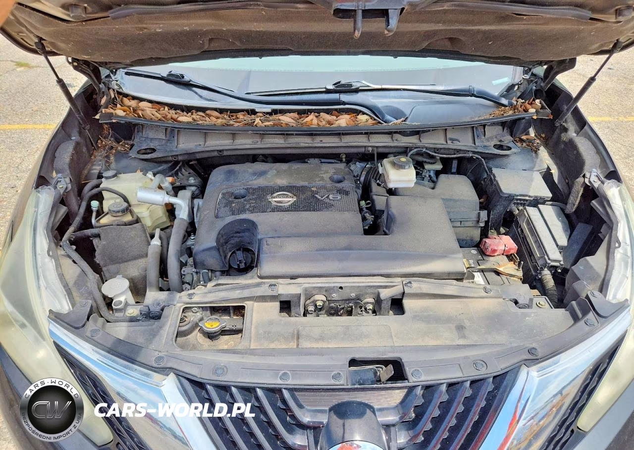 2016 Nissan Murano Platinum VIN:5N1AZ2MG5GN152202 - 12