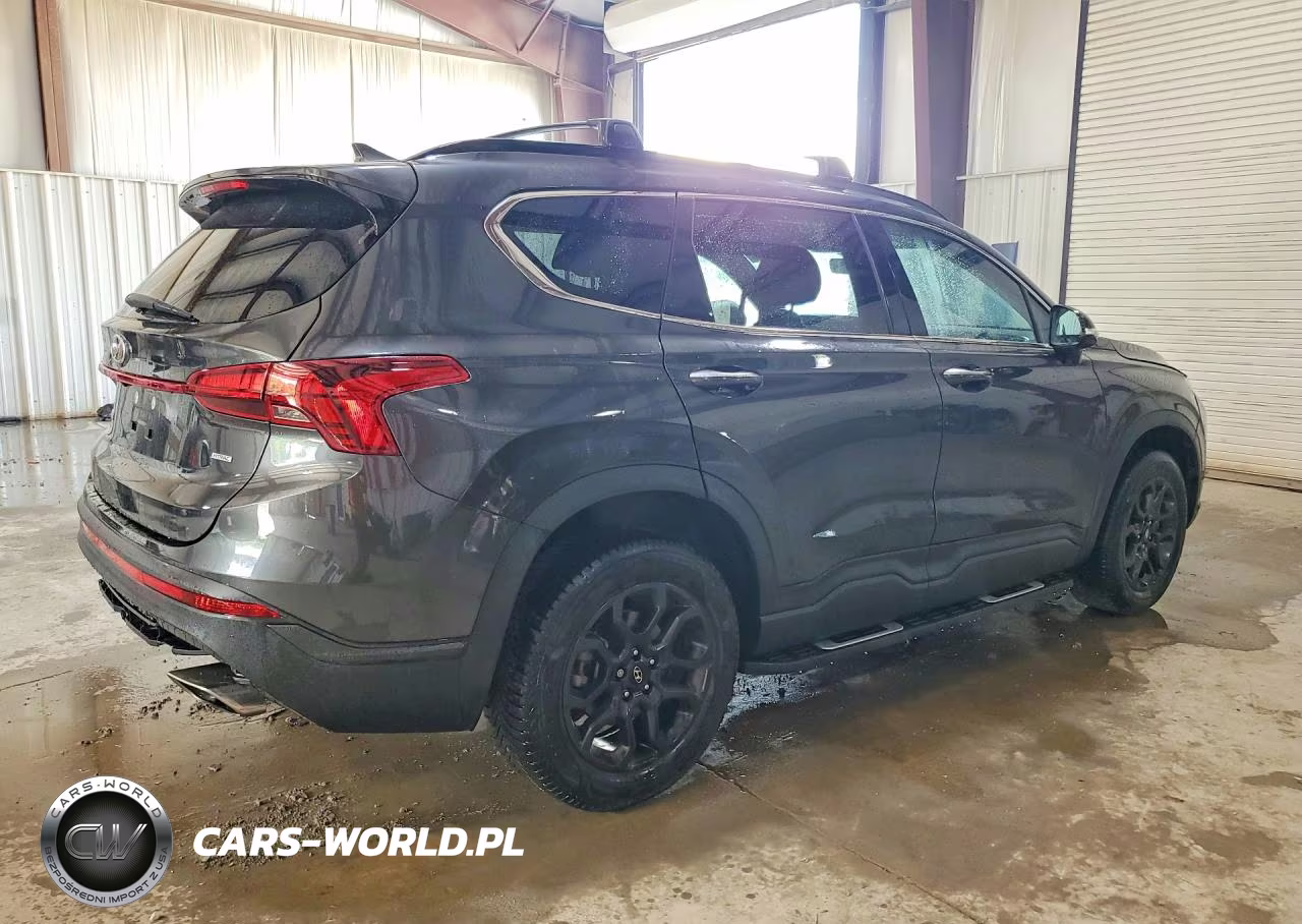 2022 Hyundai Santa Fe Xrt VIN:5NMS6DAJXNH480741 - 3