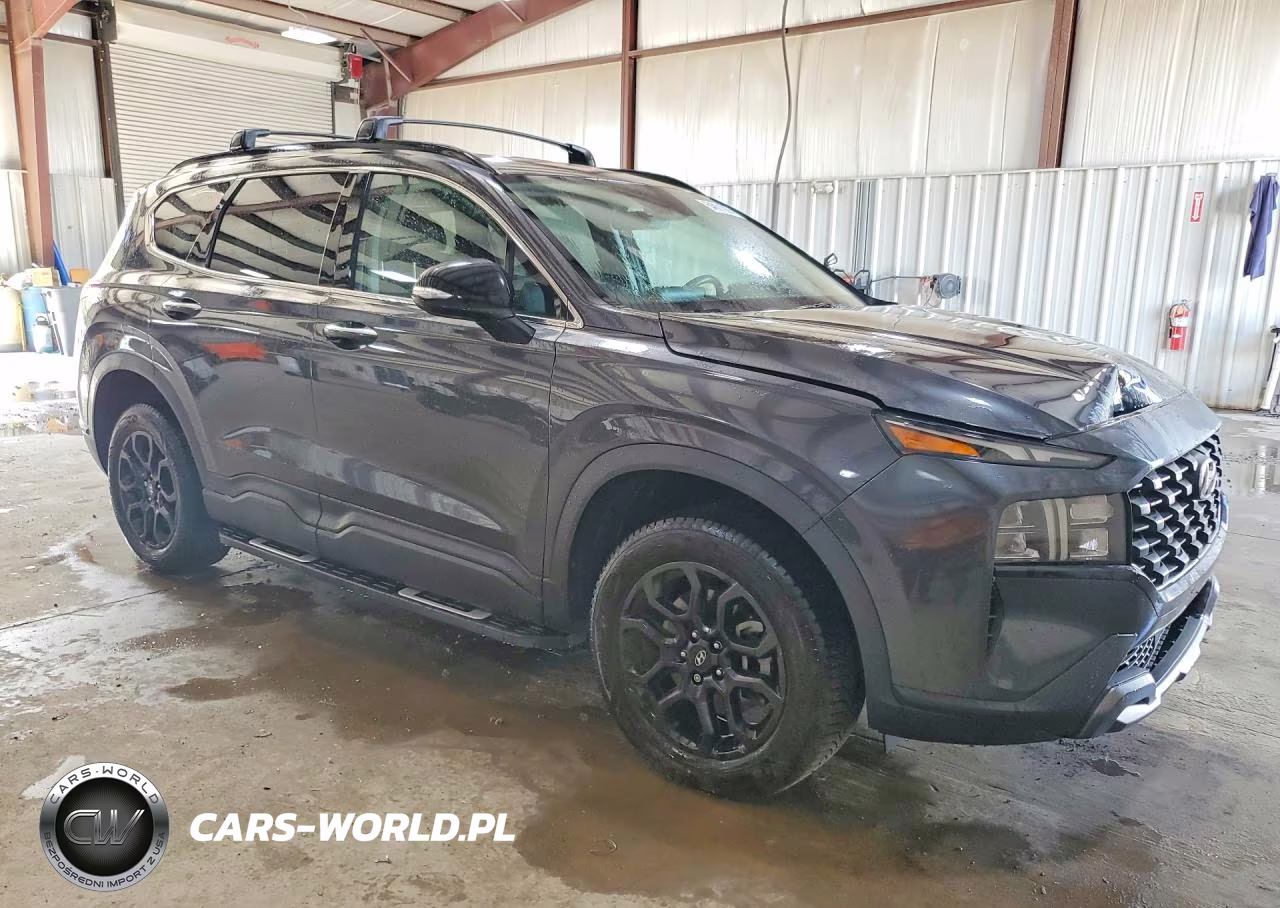 2022 Hyundai Santa Fe Xrt VIN:5NMS6DAJXNH480741 - 4