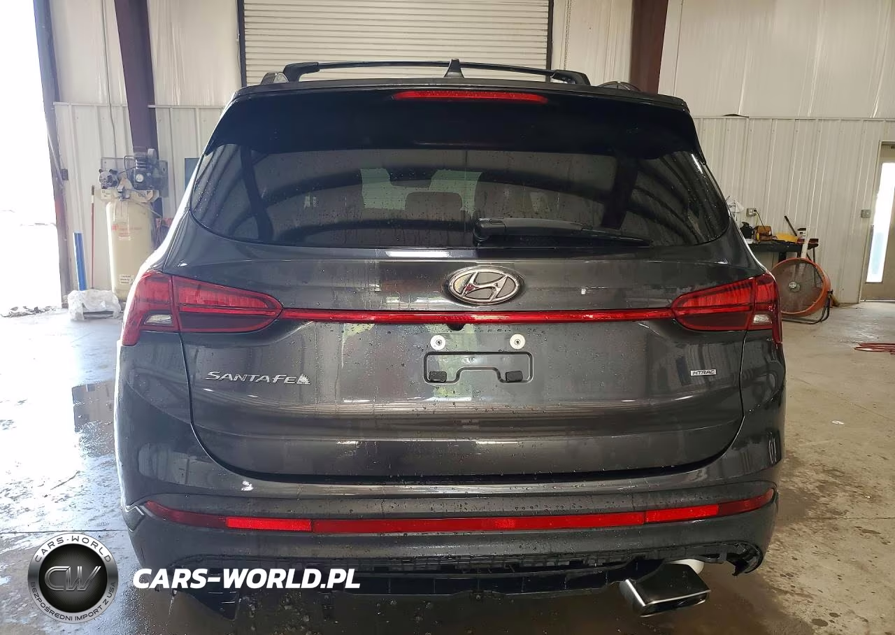2022 Hyundai Santa Fe Xrt VIN:5NMS6DAJXNH480741 - 6