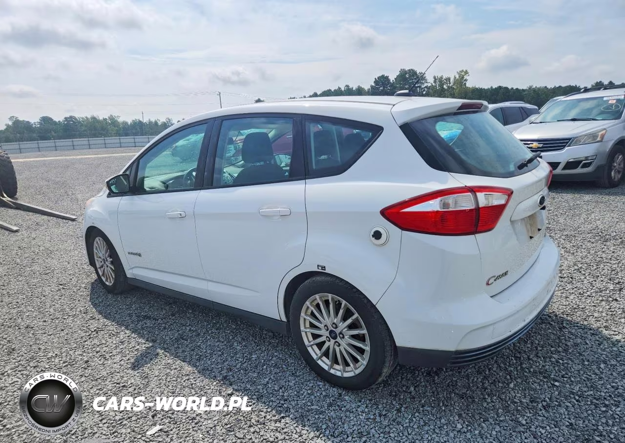2015 Ford C-Max Se VIN:1FADP5AU1FL101234 - 2