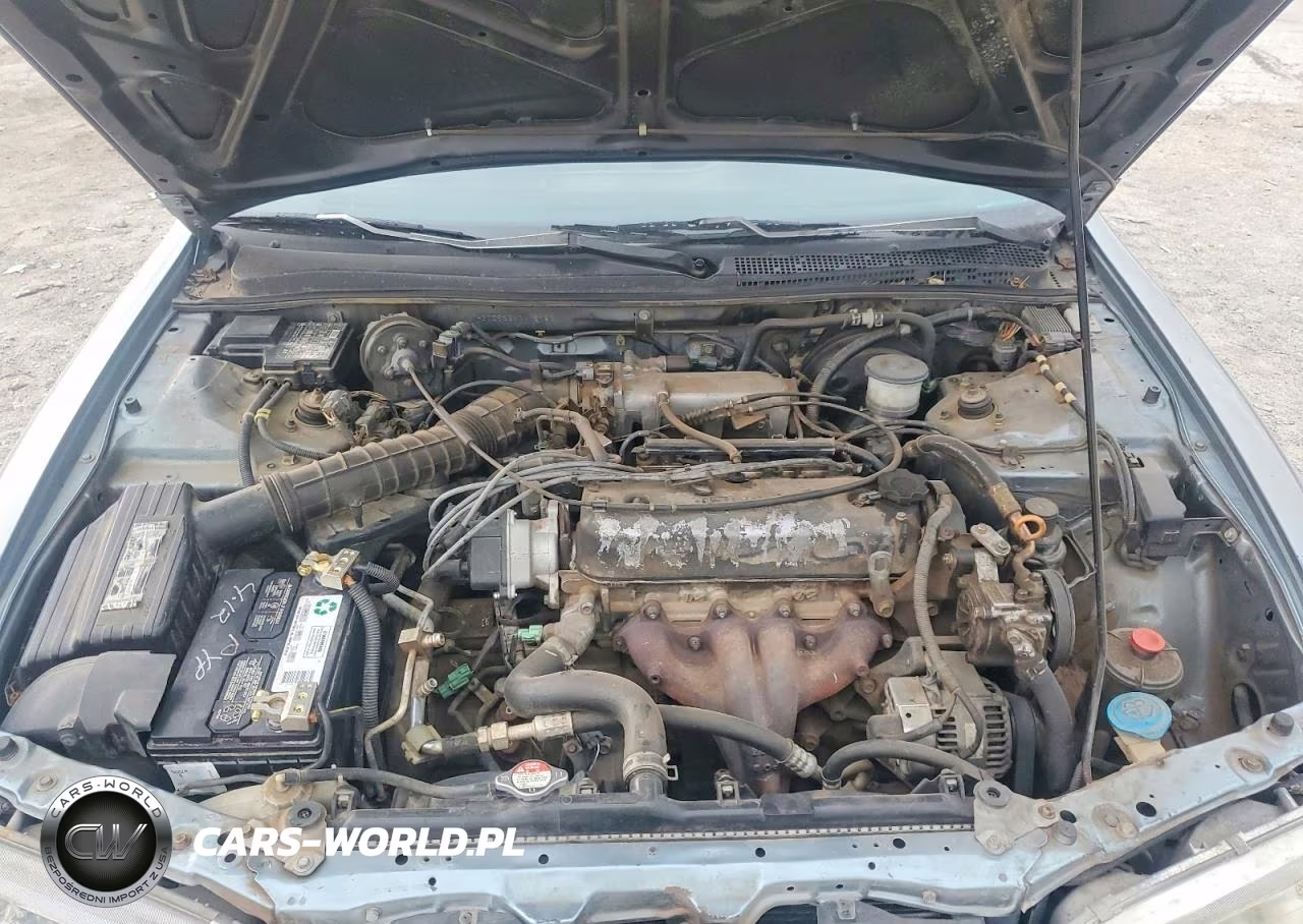 1994 Honda Accord Lx VIN:1HGCD5630RA161831 - 11