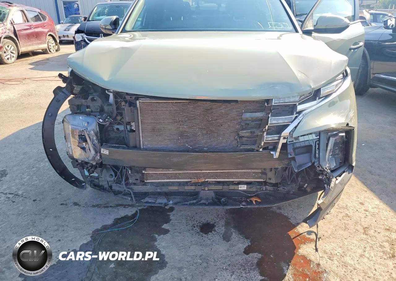 2024 Hyundai Santa Cruz Sel VIN:5NTJCDAE6RH089877 - 11