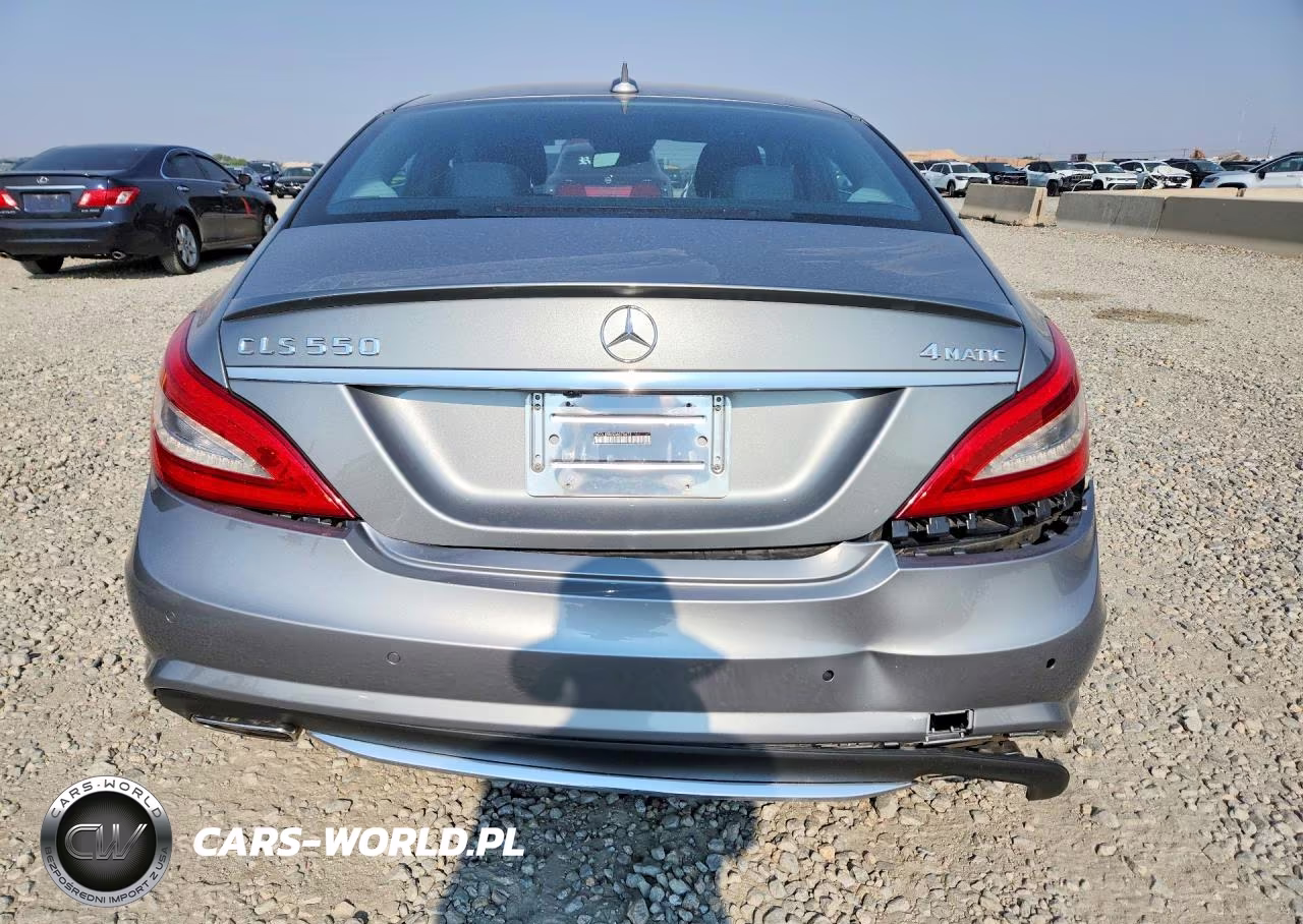 2013 Mercedes-Benz Cls 550 4Matic VIN:WDDLJ9BB5DA075473 - 6