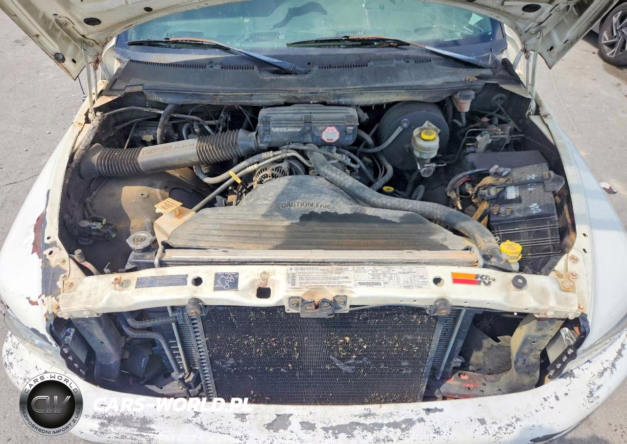 1999 Dodge Ram 1500 VIN:1B7HC16X3XS290379 - 11
