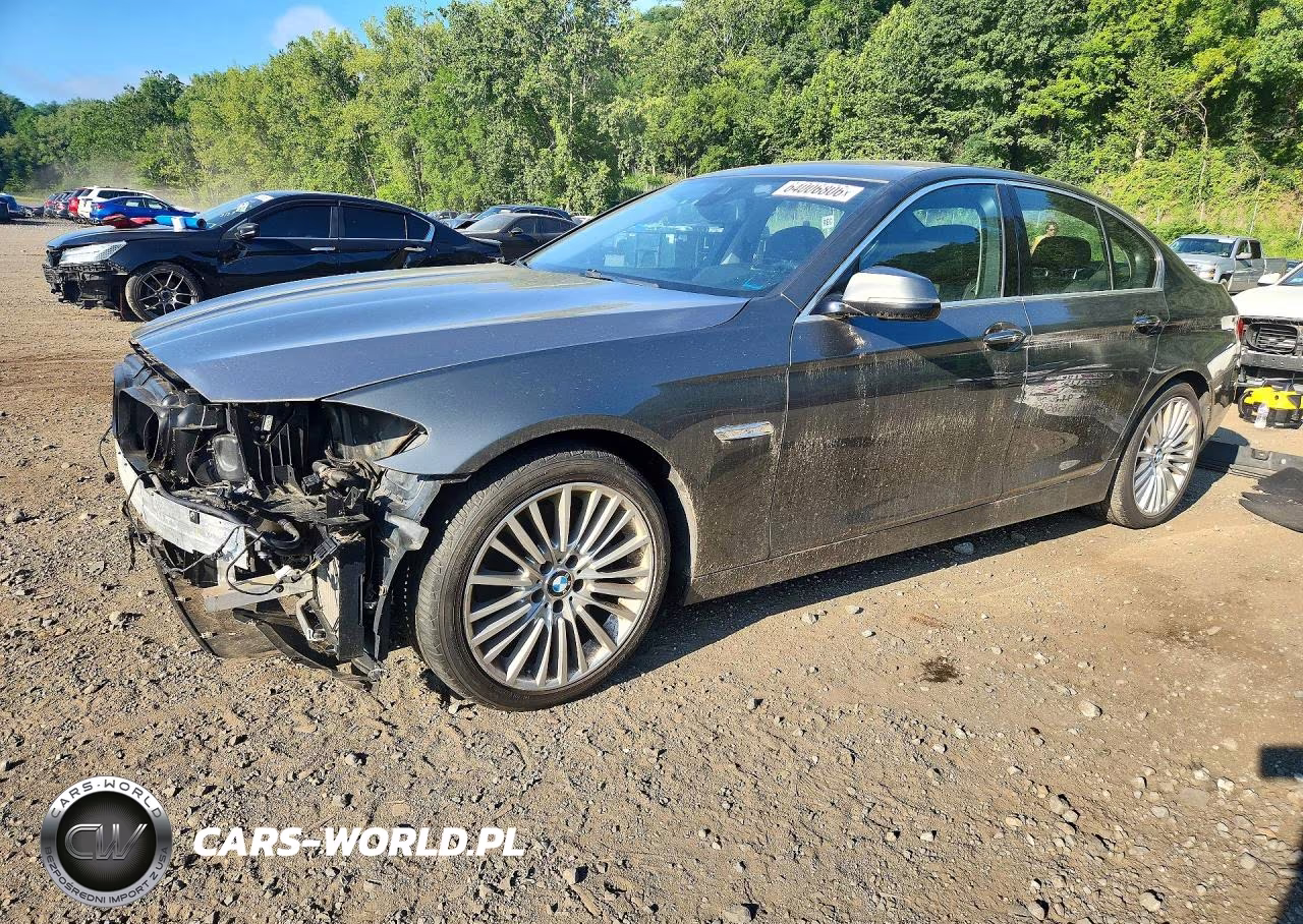 2014 BMW 550 Xi – zdjęcie 1 z 13