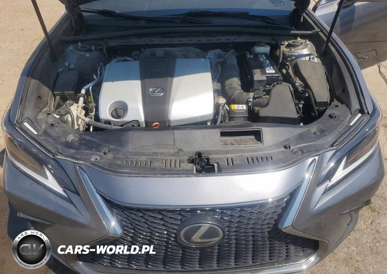 2019 Lexus Es 350 VIN:58ABZ1B13KU025274 - 11