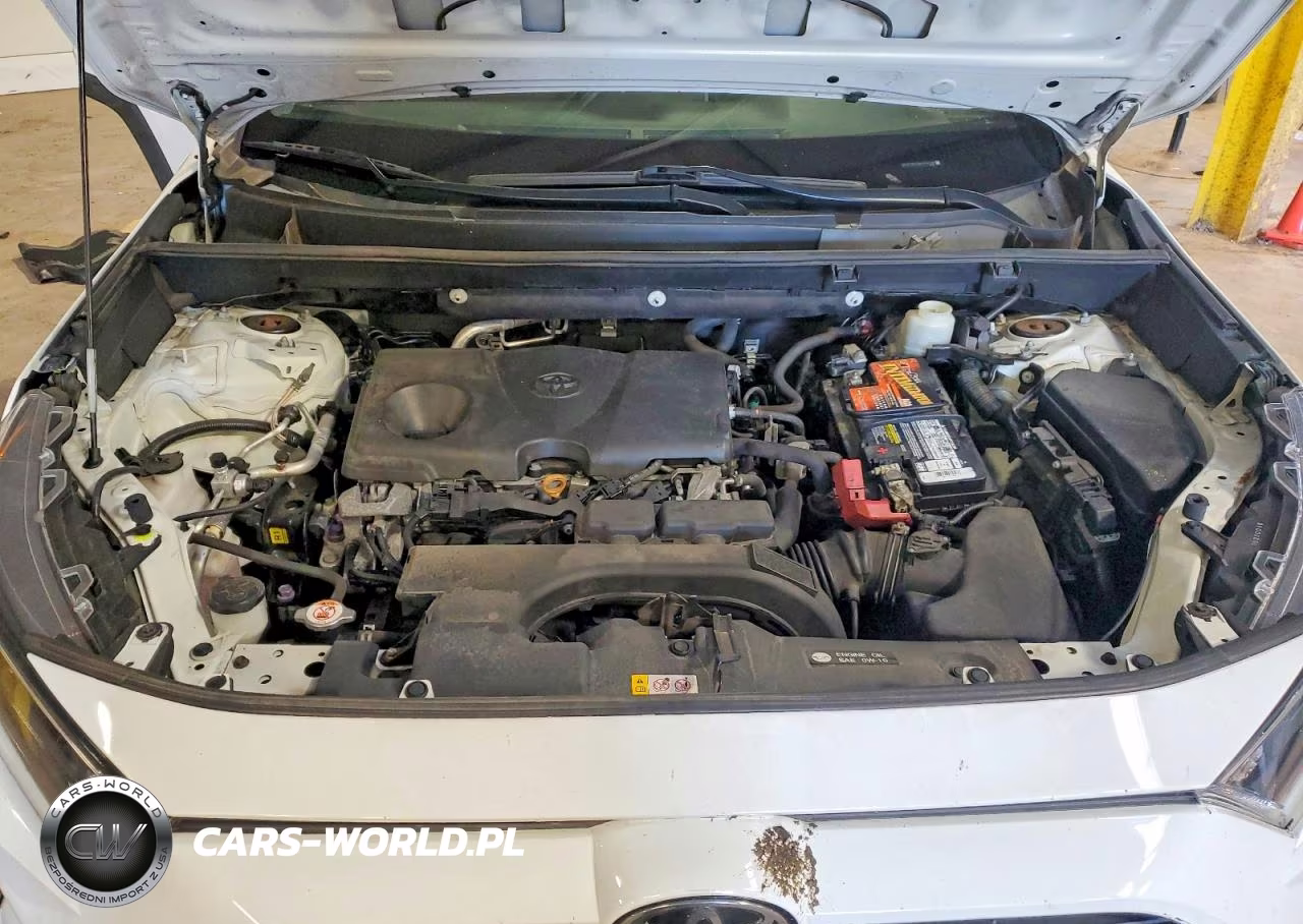 2019 Toyota Rav4 Le VIN:2T3F1RFV5KC014118 - 12