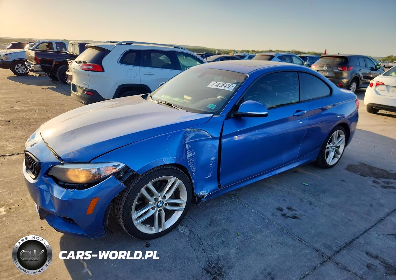 2017 BMW 230I