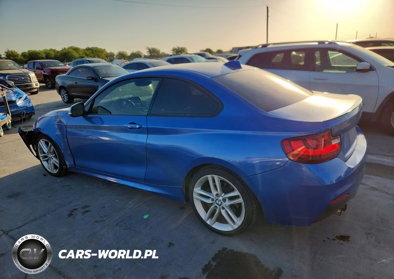2017 BMW 230I VIN:WBA2F9C3XHV665050 - 2
