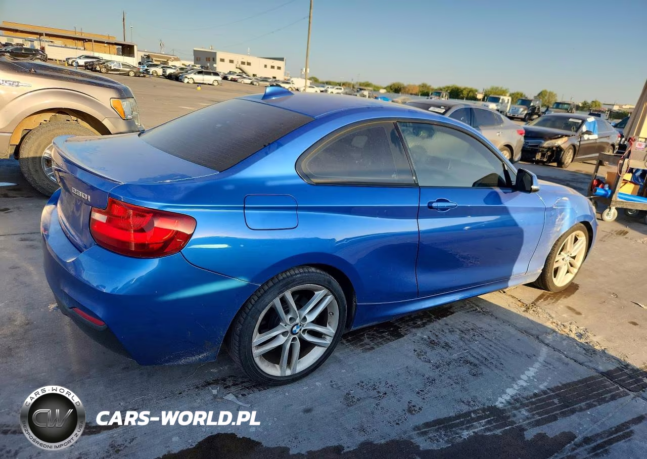 2017 BMW 230I VIN:WBA2F9C3XHV665050 - 3