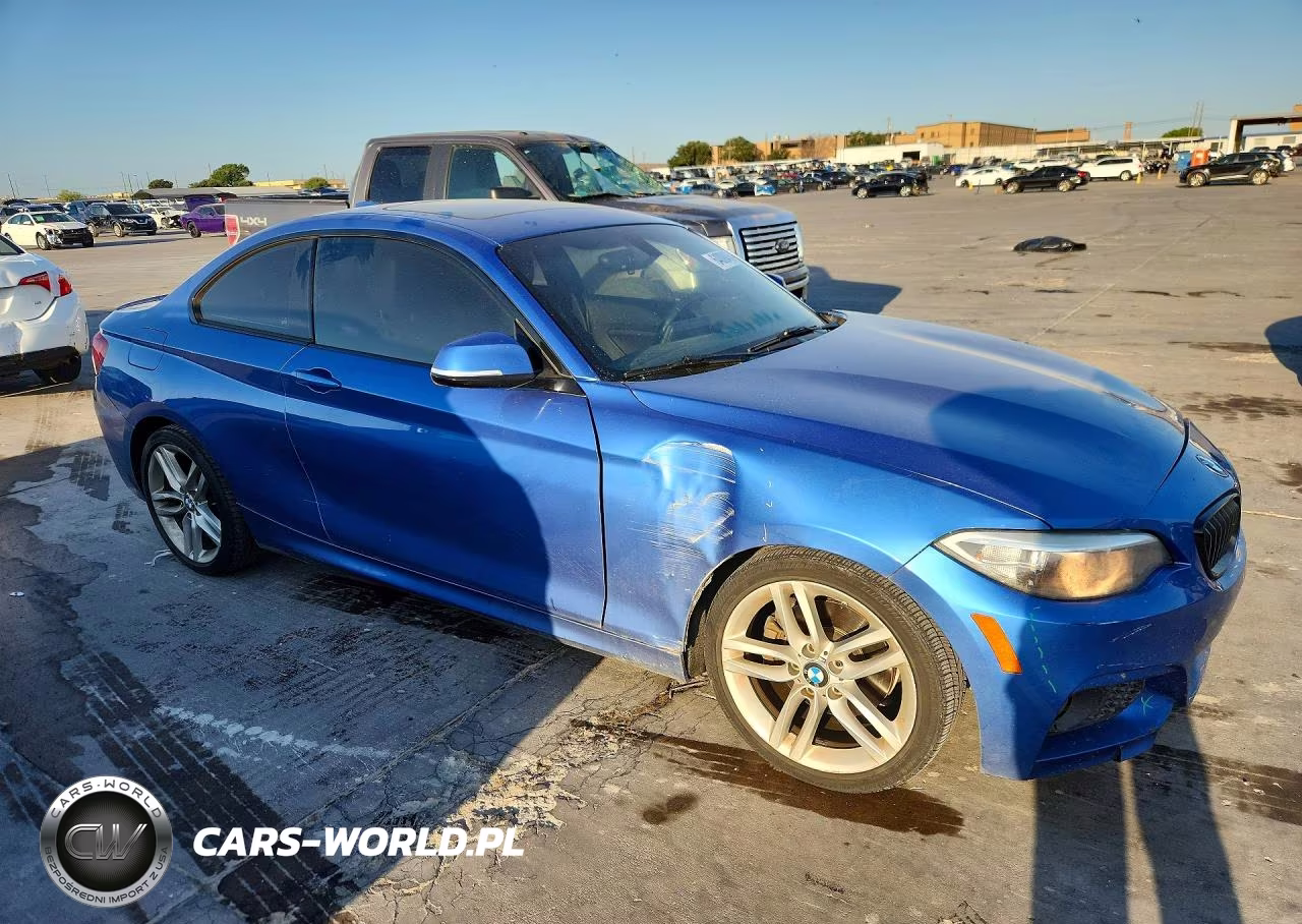 2017 BMW 230I VIN:WBA2F9C3XHV665050 - 4