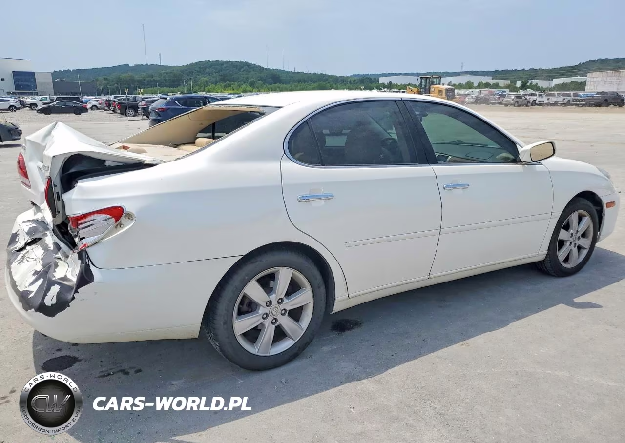2005 Lexus Es 330 VIN:JTHBA30G955141534 - 3