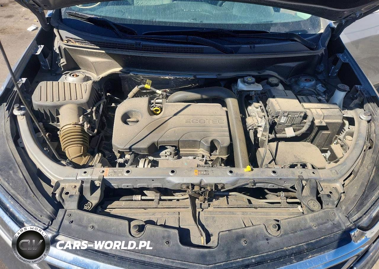 2024 Chevrolet Equinox Lt VIN:3GNAXUEG5RL345268 - 12