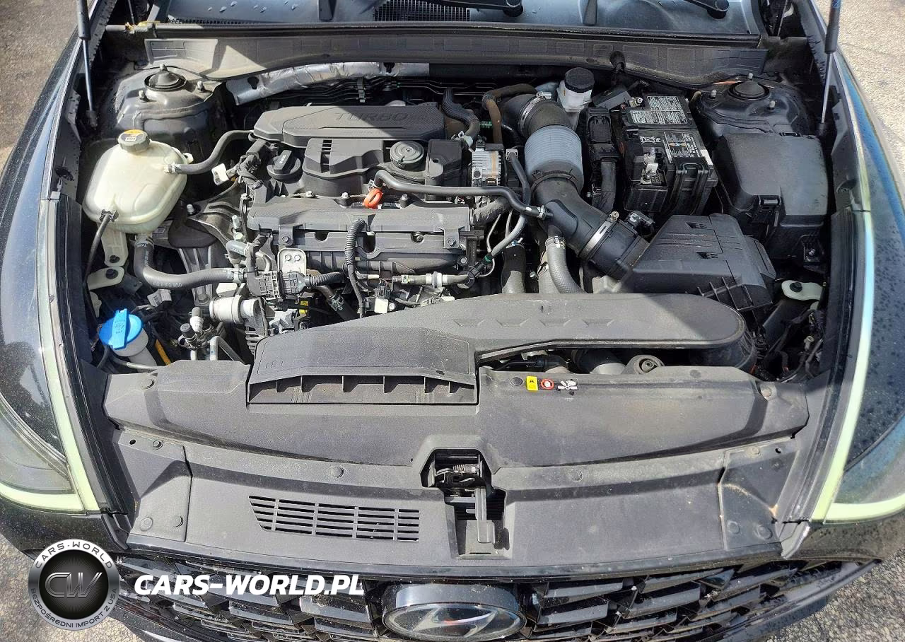 2020 Hyundai Sonata Limited VIN:5NPEH4J24LH047366 - 11