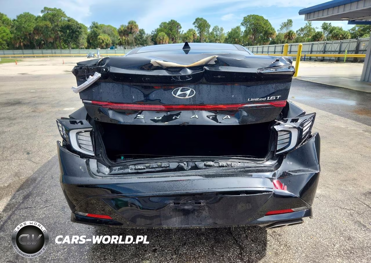 2020 Hyundai Sonata Limited VIN:5NPEH4J24LH047366 - 6