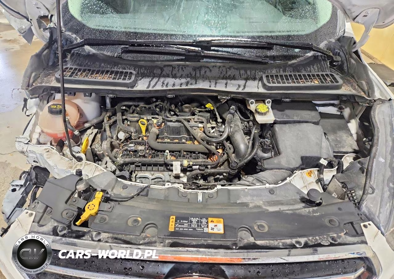 2019 Ford Escape Se VIN:1FMCU9GDXKUB15291 - 12