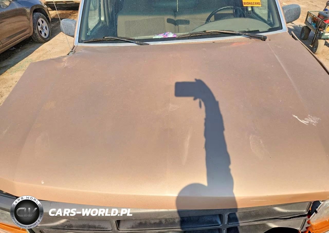 1996 Ford F150 VIN:1FTEX15Y1TKA09367 - 11