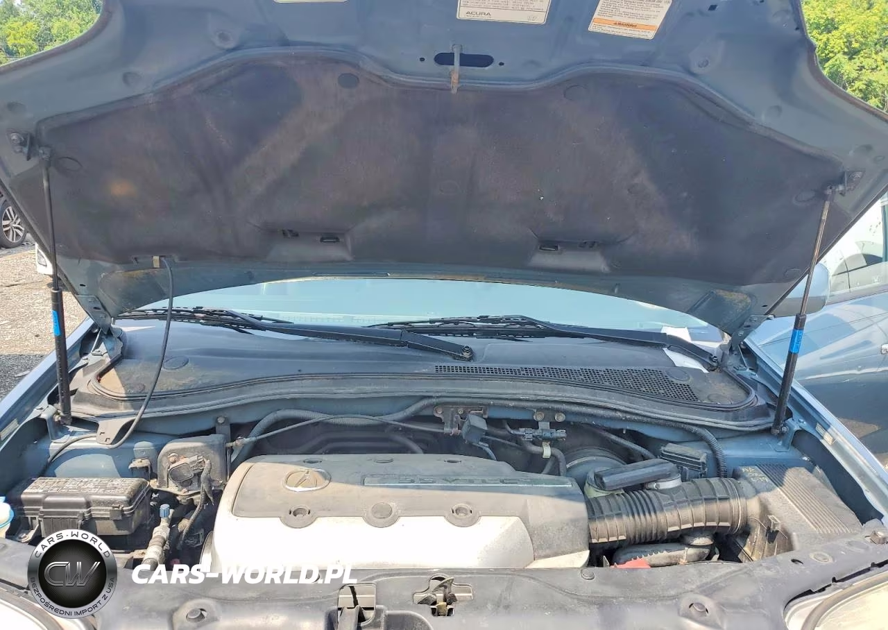 2006 Acura Mdx Touring VIN:2HNYD18866H526008 - 11