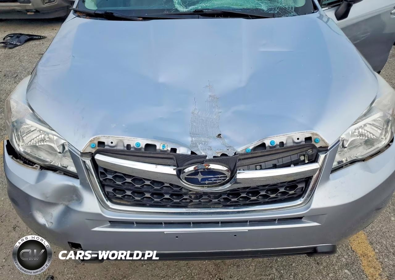 2014 Subaru Forester 2.5I Touring VIN:JF2SJAMC4EH531809 - 12