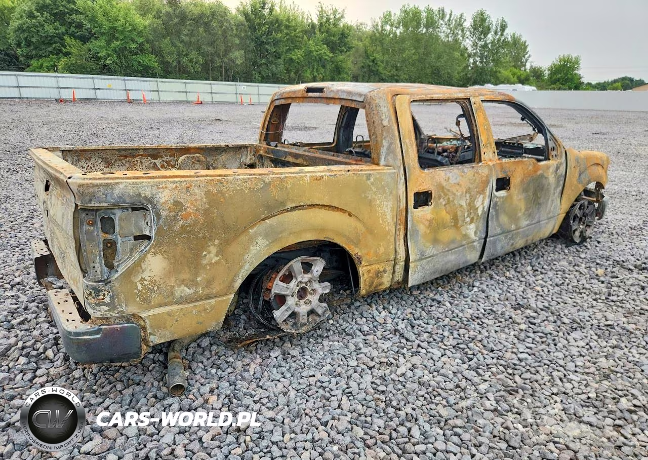 2010 Ford F150 Supercrew VIN:1FTFW1CV3AFC83546 - 3