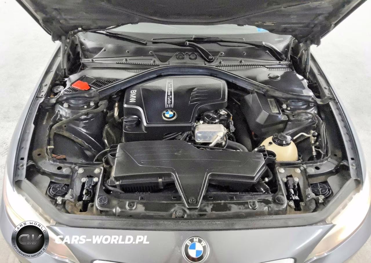 2014 BMW 228 I VIN:WBA1F5C51EVV98985 - 11