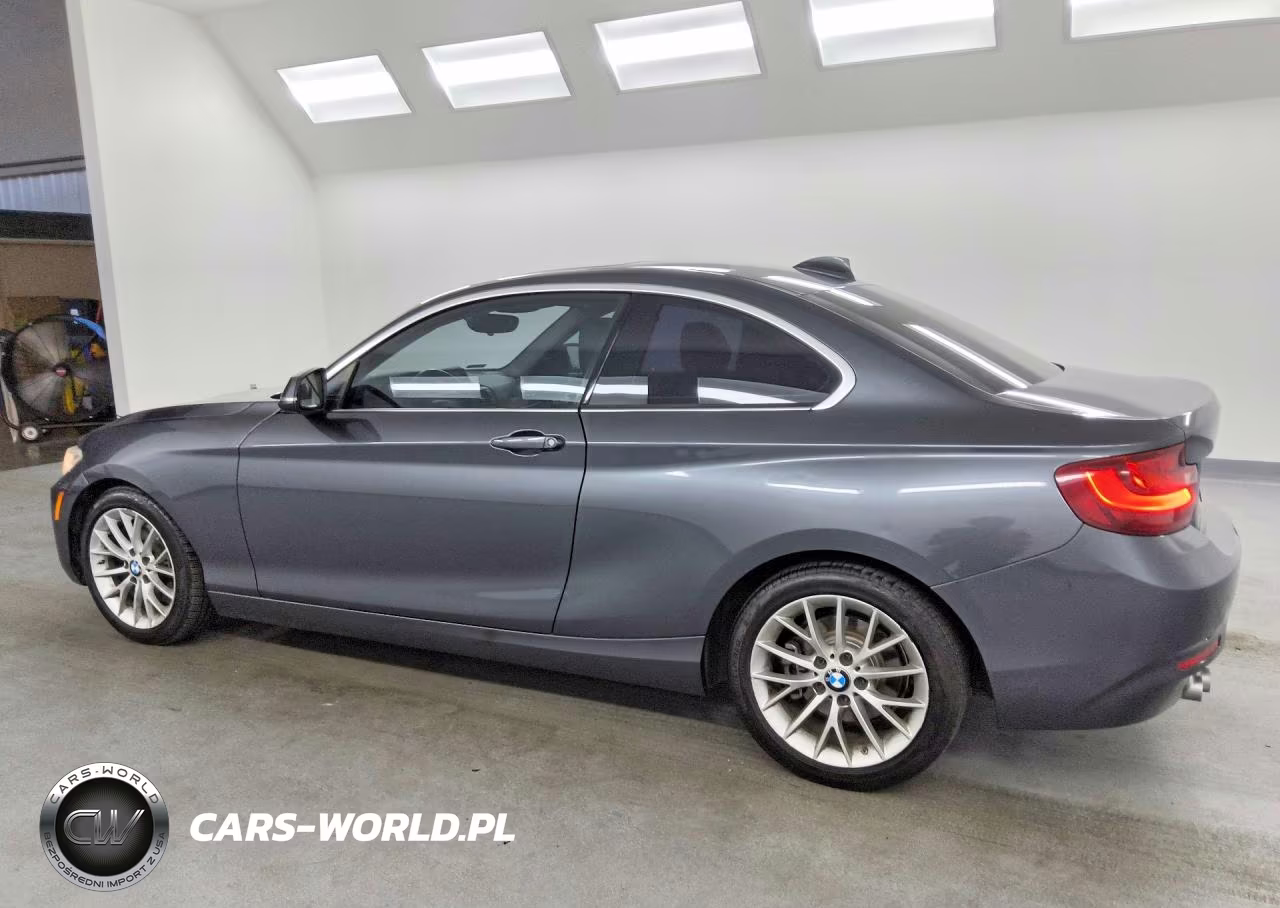 2014 BMW 228 I VIN:WBA1F5C51EVV98985 - 2