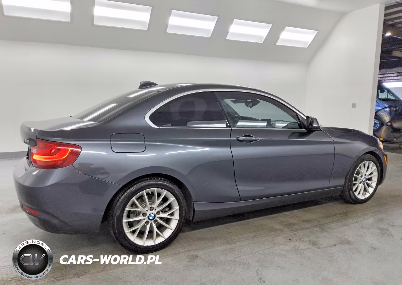 2014 BMW 228 I VIN:WBA1F5C51EVV98985 - 3