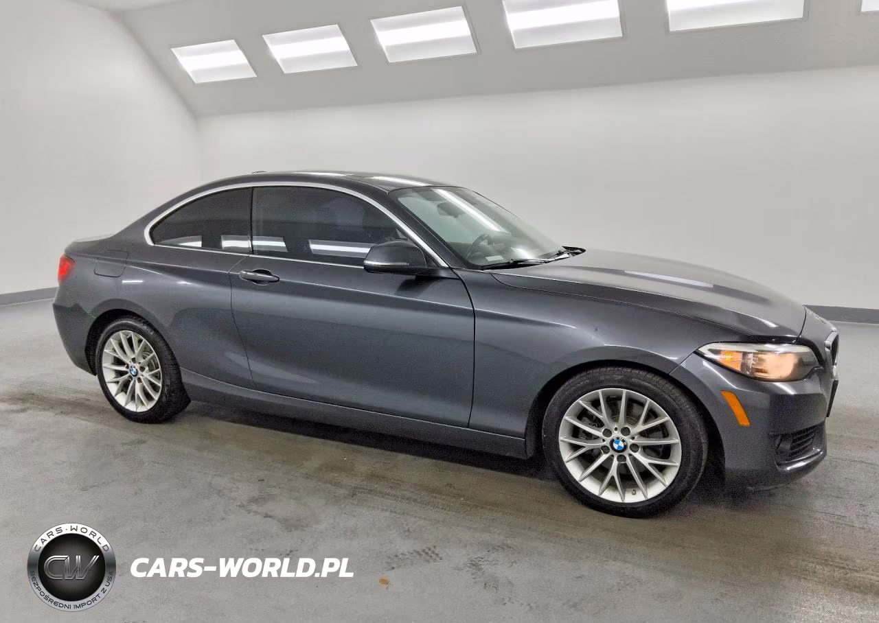 2014 BMW 228 I VIN:WBA1F5C51EVV98985 - 4